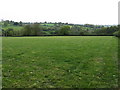 Field above Little Cowarne