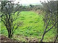 Inside the Ancient Earthwork