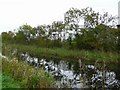 Forth and Clyde Canal at Milnquarter