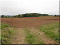 Riddled field near Roxpole junction