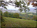 Pasture land near Maesteg