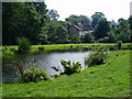 A Pond near the River Sid in Sidbury