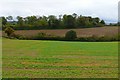 Countryside near Stalbridge