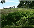 Lyndon Hill near Rutland Water