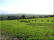 C2009 : Drumany Townland by Kenneth  Allen
