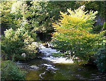 SH7863 : Afon Crafnant - upstream by Maigheach-gheal
