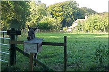 SU6584 : Donkey at Keepers Cottage near Berinshill Wood by Graham Horn