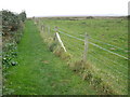 Grassy path, from Steart to the coast