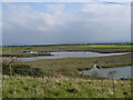 ST3466 : Salt marsh at mouth of River Banwell by Paul Harvey