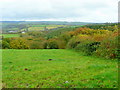 View over the Gwili valley