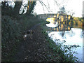 Bridge no. 27, Lancaster Canal