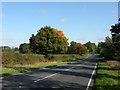 Autumn on the A1304