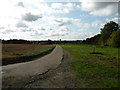 Road to Westley Lodge Farm