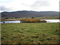 NH5521 : Loch Mhor Near Farraline by Sarah McGuire