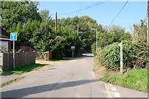 SU1414 : Green Lane, Fordingbridge, Hampshire by Clive Perrin