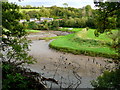 River Yeo at Landcross 2