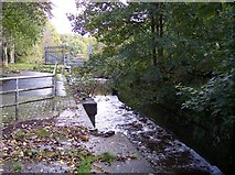 SJ6187 : Howley Lock on the Mersey Way path by Raymond Knapman