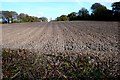 Ploughed Field, Evershot