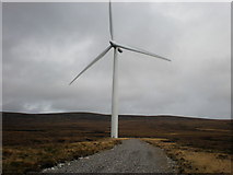 NH7330 : Wind turbine 210 by Sarah McGuire