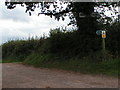 SX9496 : Bridleway to Goffins Farm by Rob Purvis