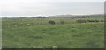 SH4182 : View NE across farmland from near Mynydd Mwyn Mawr Farm by Eric Jones
