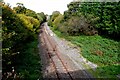 Railway Track Sandhills