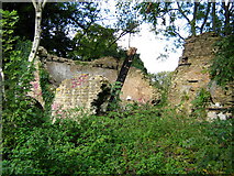 ST8887 : Ruin near the Avon by George Evans