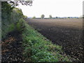 Bridleway to Warborough