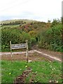 SO2178 : Road to The Cwm Farm by P L Chadwick