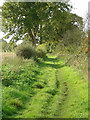 SK6546 : Bridleway near Lowdham by Alan Murray-Rust