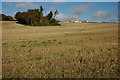 SP3916 : Stubble field at Stonesfield by Philip Halling