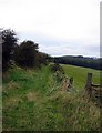 Green Lane towards Elemore Grange