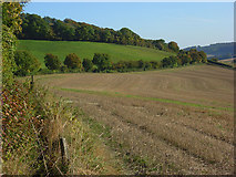 SU7997 : Farmland, Radnage by Andrew Smith