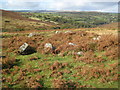 SX6771 : Dartmoor: Holne Moor Hut Circle by Nigel Cox