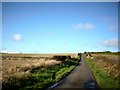 The road to Smailholm in the Borders.