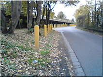 TQ9064 : Yellow Poles on Gas Road by Joe White