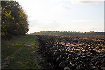 TL8969 : Ploughed field near Great Livermere by Bob Jones