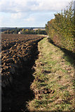 TL8969 : Field boundary and hedgerow by Bob Jones