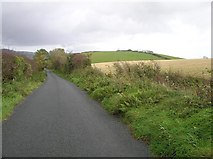 C3114 : Road at Tullyannan by Kenneth  Allen