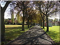 Tree lined avenue, Kensington Memorial Park