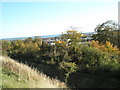 Chimney of Queen Alexandra Hospital viewed from Portsdown Hill