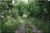 TL9395 : Track around Thompson Common by Hugh Venables