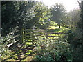 Gate on footpath, to the north of East Budleigh