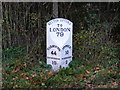 TM2951 : Milepost on B1438 Yarmouth Road by Geographer