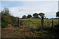 Field off Coneyburrow Lane, Cooden, East Sussex