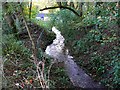 Watercourse in the Toadsmoor Valley, Bussage