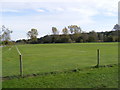 TM2547 : Martlesham Recreation Ground by Geographer