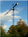 Crane over Botanic Gardens