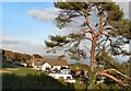 Swallow Tree Holiday Park, Saundersfoot