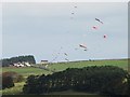 Allendale Kite Festival at Churchlands